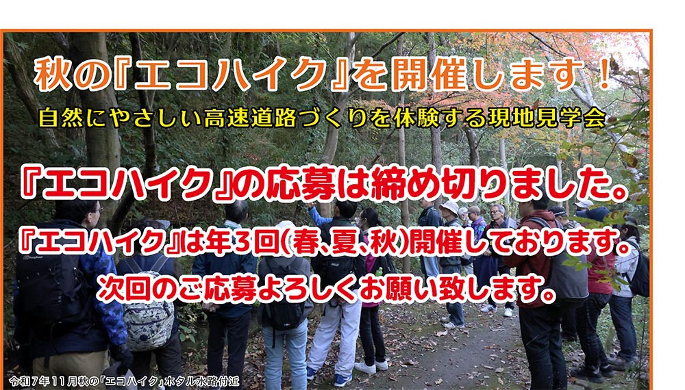 エコハイク