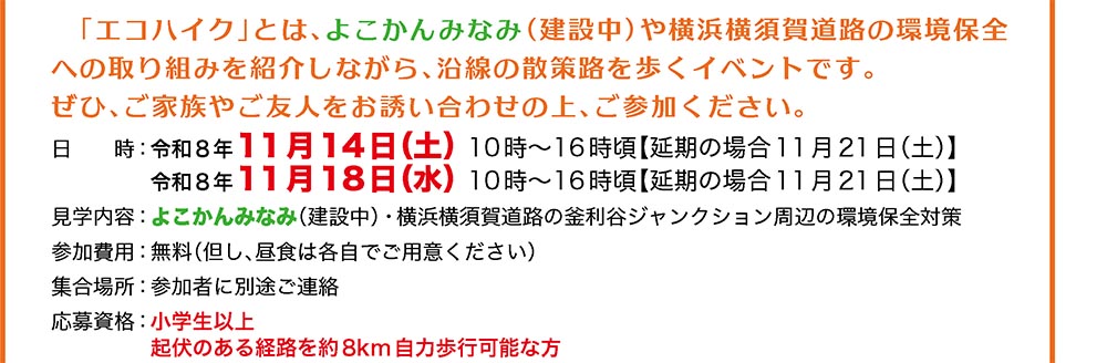 エコハイク