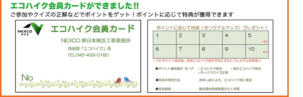 エコハイク