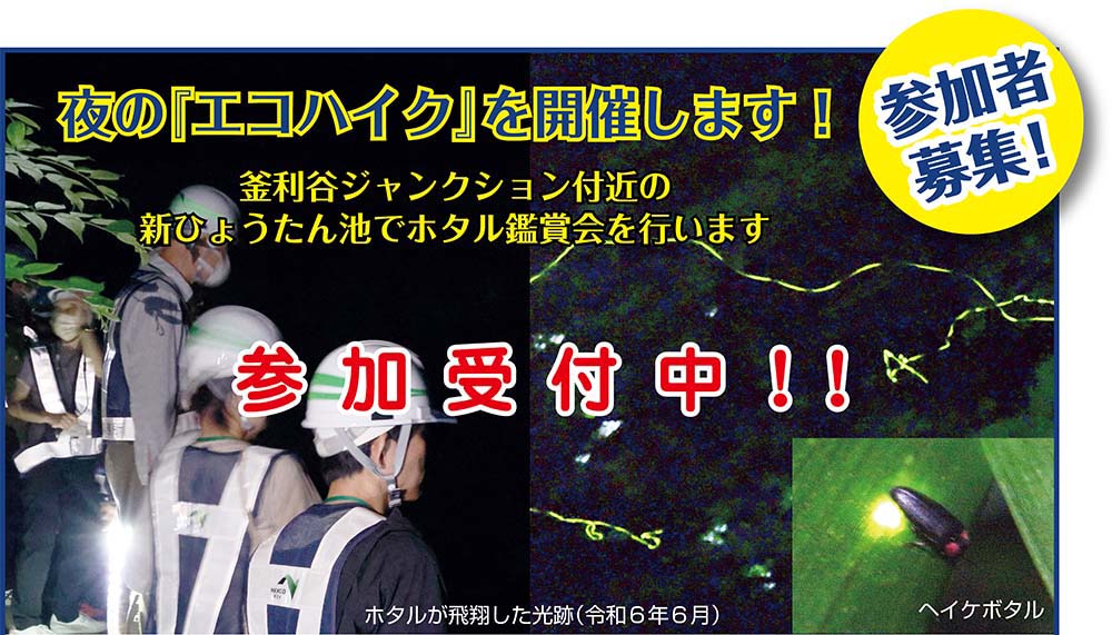 エコハイク