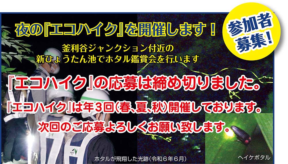 エコハイク