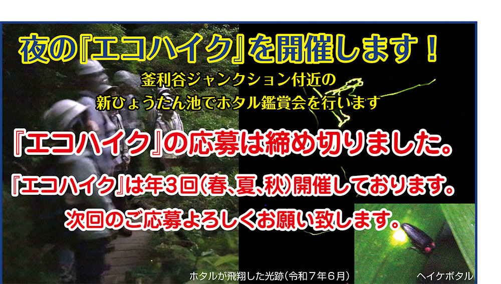 エコハイク
