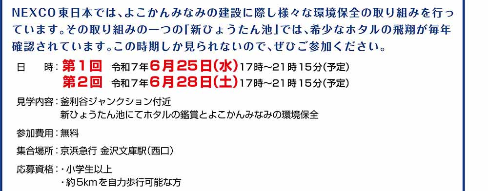 エコハイク