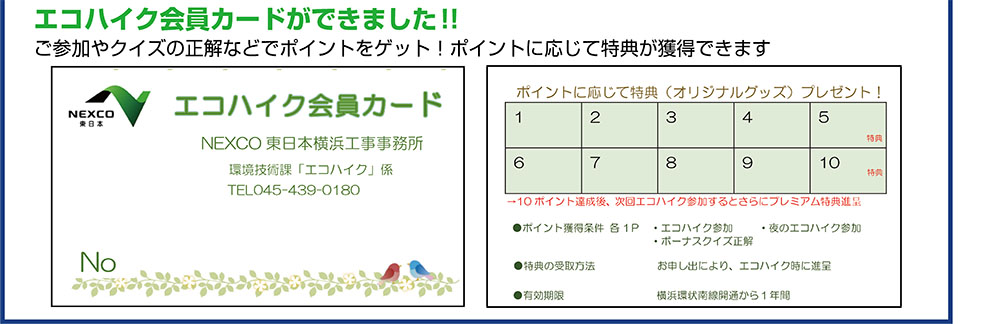 エコハイク